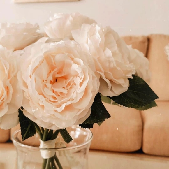 Meet your Posher, May - Picture 1 of 1